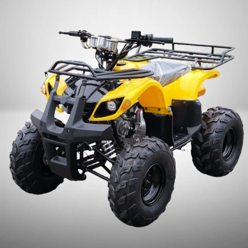 Chinese Professional Petrol Powered 125cc Quad Bike ATV