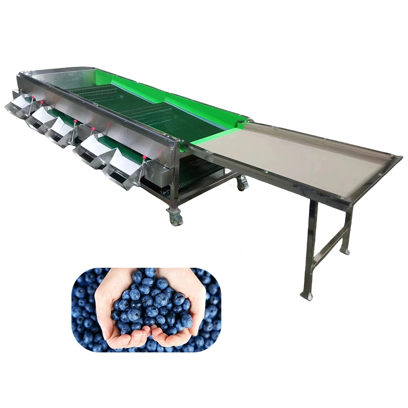 Blueberry Size Grading Small Size Fruit Sorting Machine Blueberry Sorter