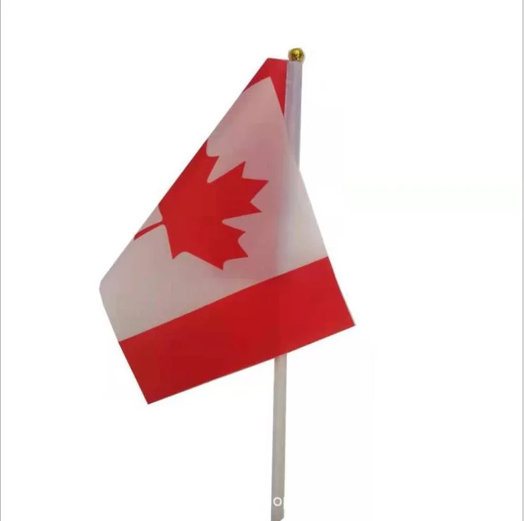 Best Price 3*5FT Flags of All Countries Pride Canada Flags, Banners