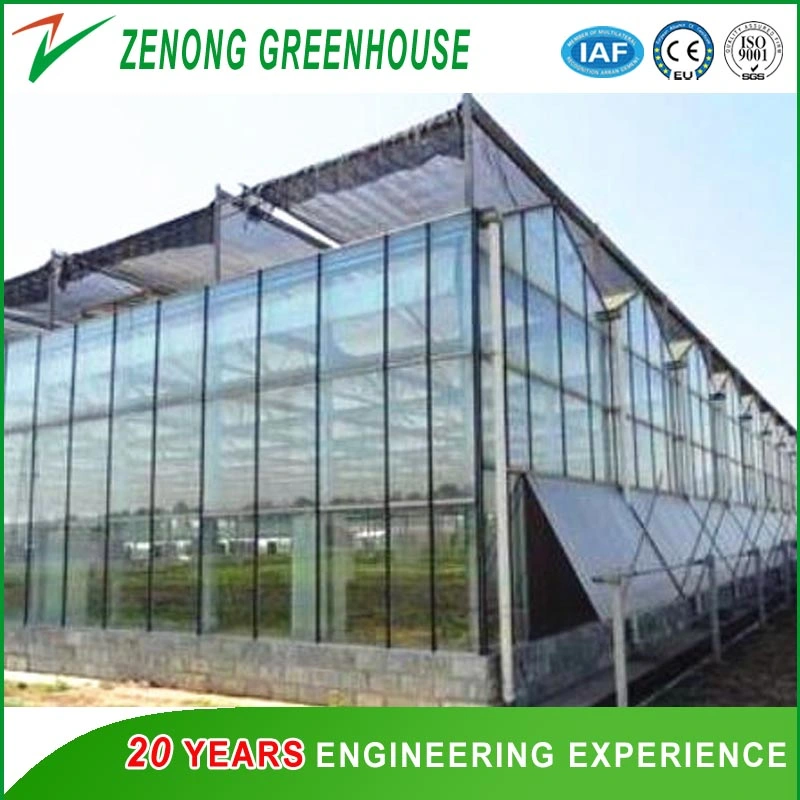 Easy Install Steel Structure Glass Greenhouse for Agriculture/Vegetable/Flower