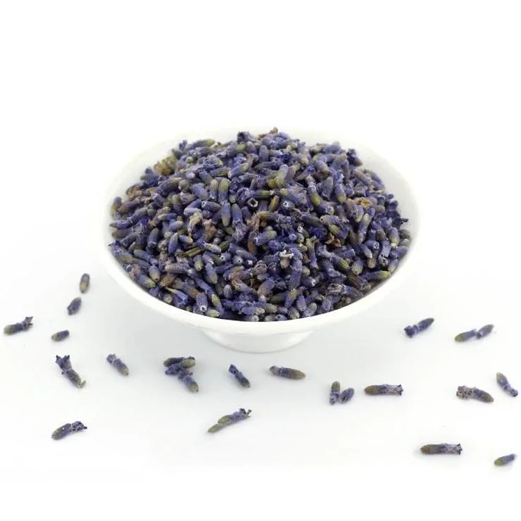 Popular al por mayor Lavanda Orgánica brotes de flores para el té de flores