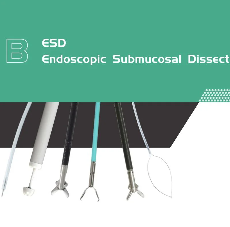 Medical Endoscopy Accessories Endoscopic Instruments Single Use Disposable Surgical ESD Hemostatic Clips with CE Mark FDA ISO FSC