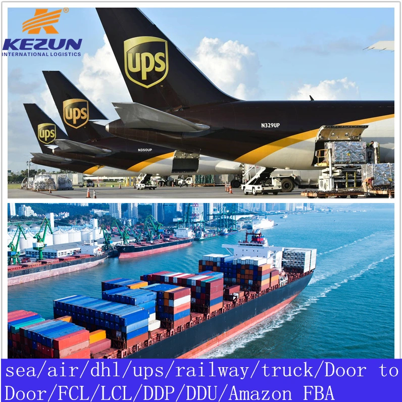 Best China Sea Freight Forwarder FCL LCL Ocean Freight Logistics Shipping From China to Brazil Door to Door