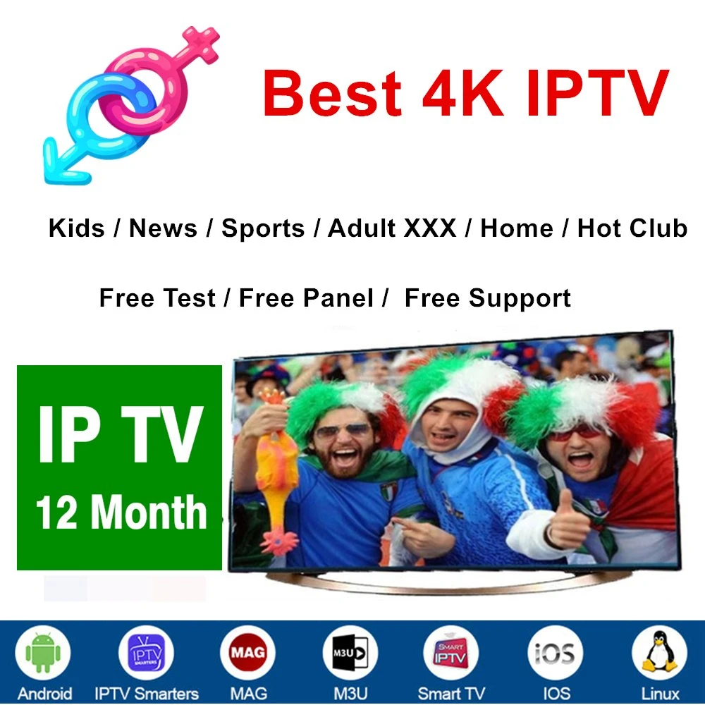 Turquie IPTV arabe Turkey Turkiye Panel crédit abonnement revendeur M3U Code