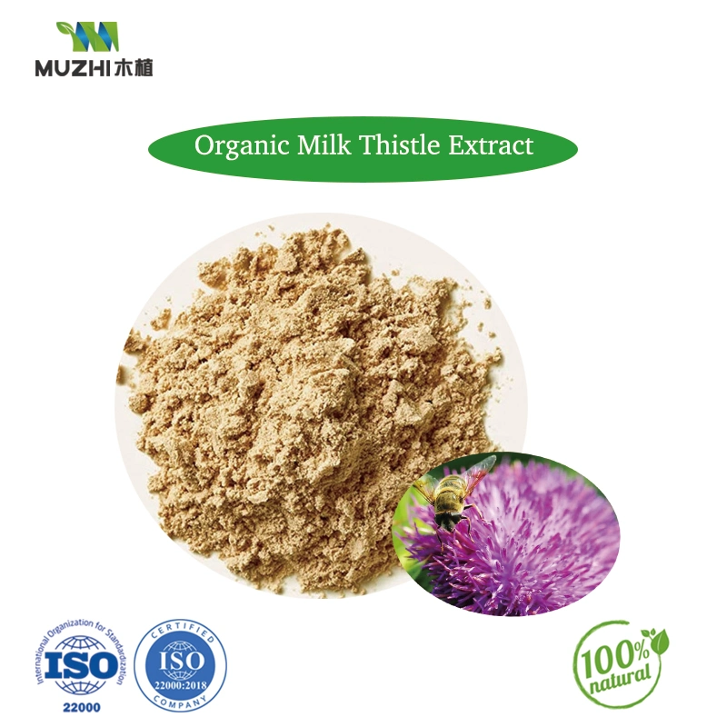 Organic Milk Thistle Extrait de la poudre à base de plantes naturelles