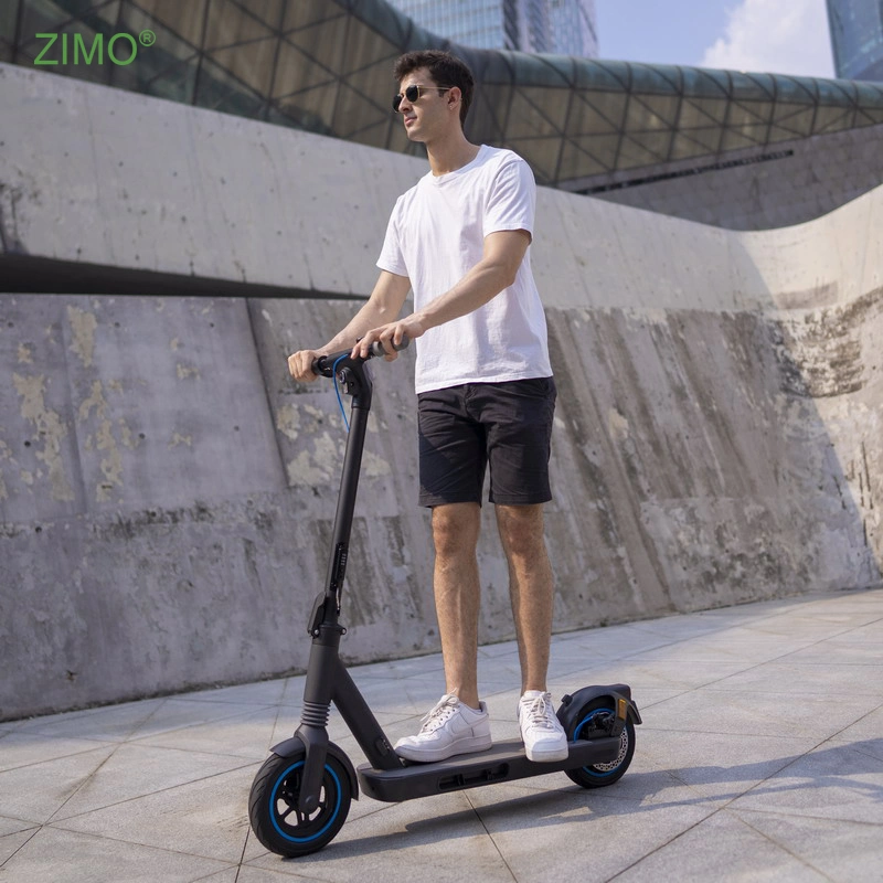 2023 Off-road Black 350W 2 Wheels Electronic Kick Scooter