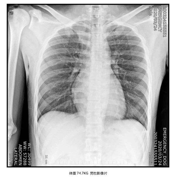 El Dr. veterinario máquina de rayos X médicos veterinarios de animales de compañía de equipos instrumentos