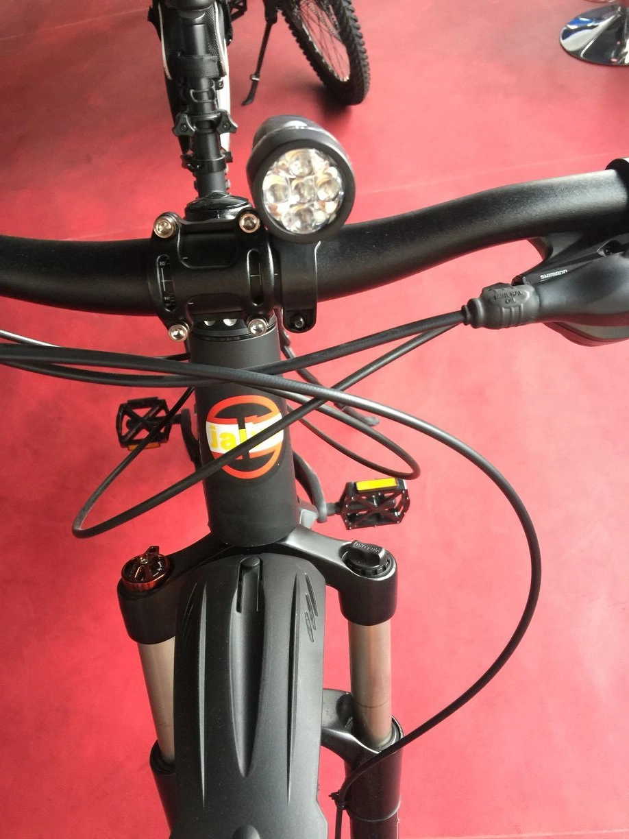 Bicycle Parts Front Bicycle LED Light (A2001081)