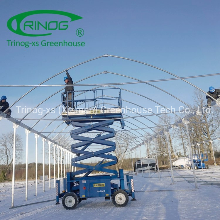 Trinog greenhouse agricultural muti-span high tunnels greenhouses for farm facilities equipment