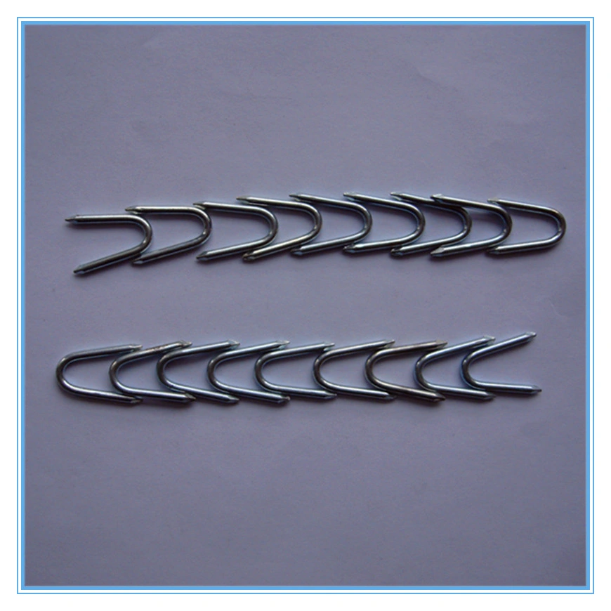 Buena calidad Galvanized U Tipo Nail/U Fence grapa/U Nail