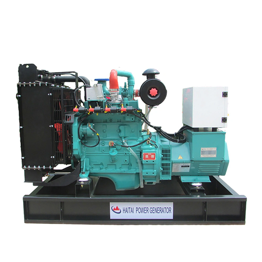 Stable Performance and High quality/High cost performance Power LPG Electric Generator