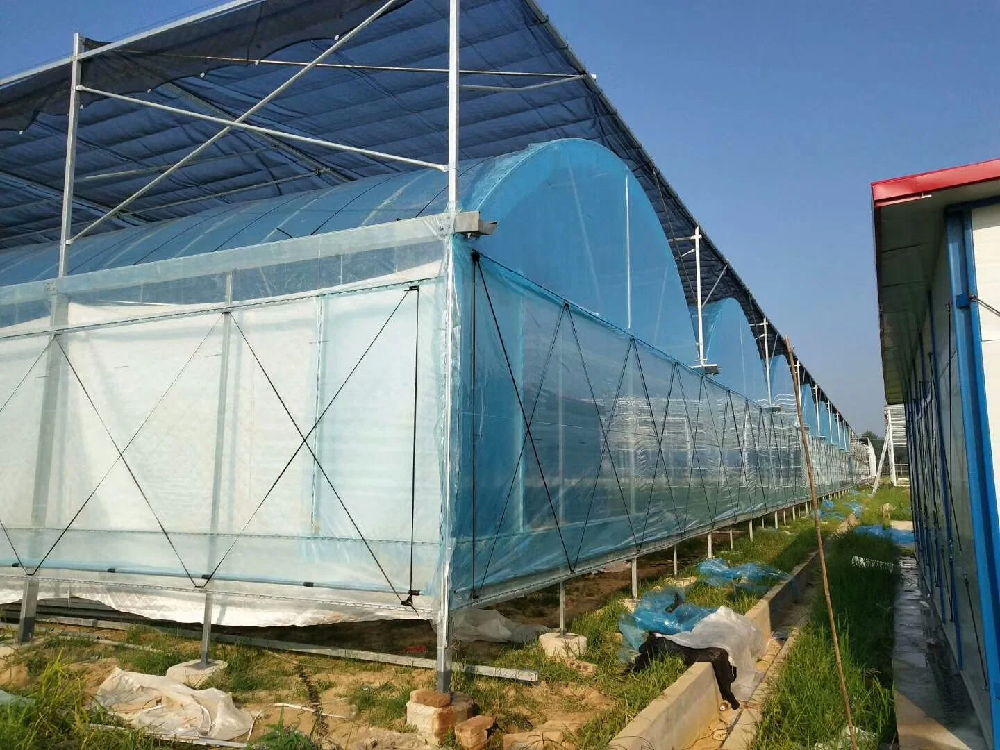 Large Multi-Span Greenhouse Polycarbonate Greenhouse Agricultural Greenhouse for Sale