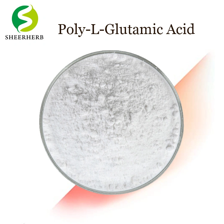 Сельскохозяйственных PGA для воды и питания сохранение Polyglutamic кислоты (PGA) для улучшения качества почв