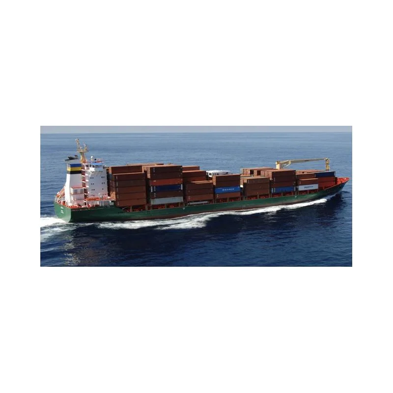 Professional Sea Freight Shipping Agent From China to Canada