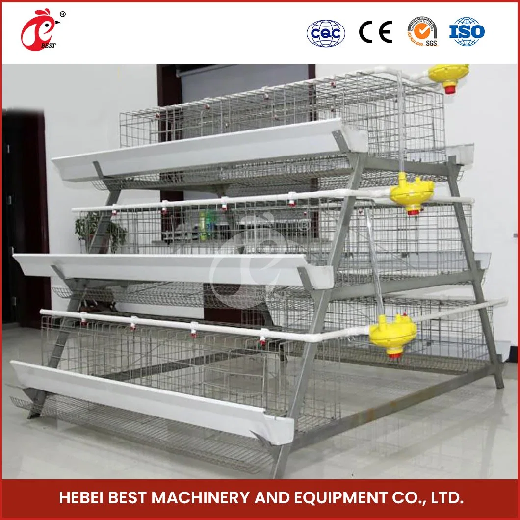 Bestchickencage a Type Pulled Brooder Cage Breeder Cage China Brooder Coop Sheds Supplier Custom Low Maintenance Cost 5000 Chickens Pullet Cage