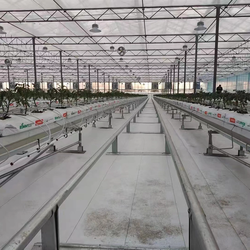 Cheap Sale of Hot-DIP Galvanized Steel Frame Multi-Span Glass Greenhouse Vegetable Greenhouse