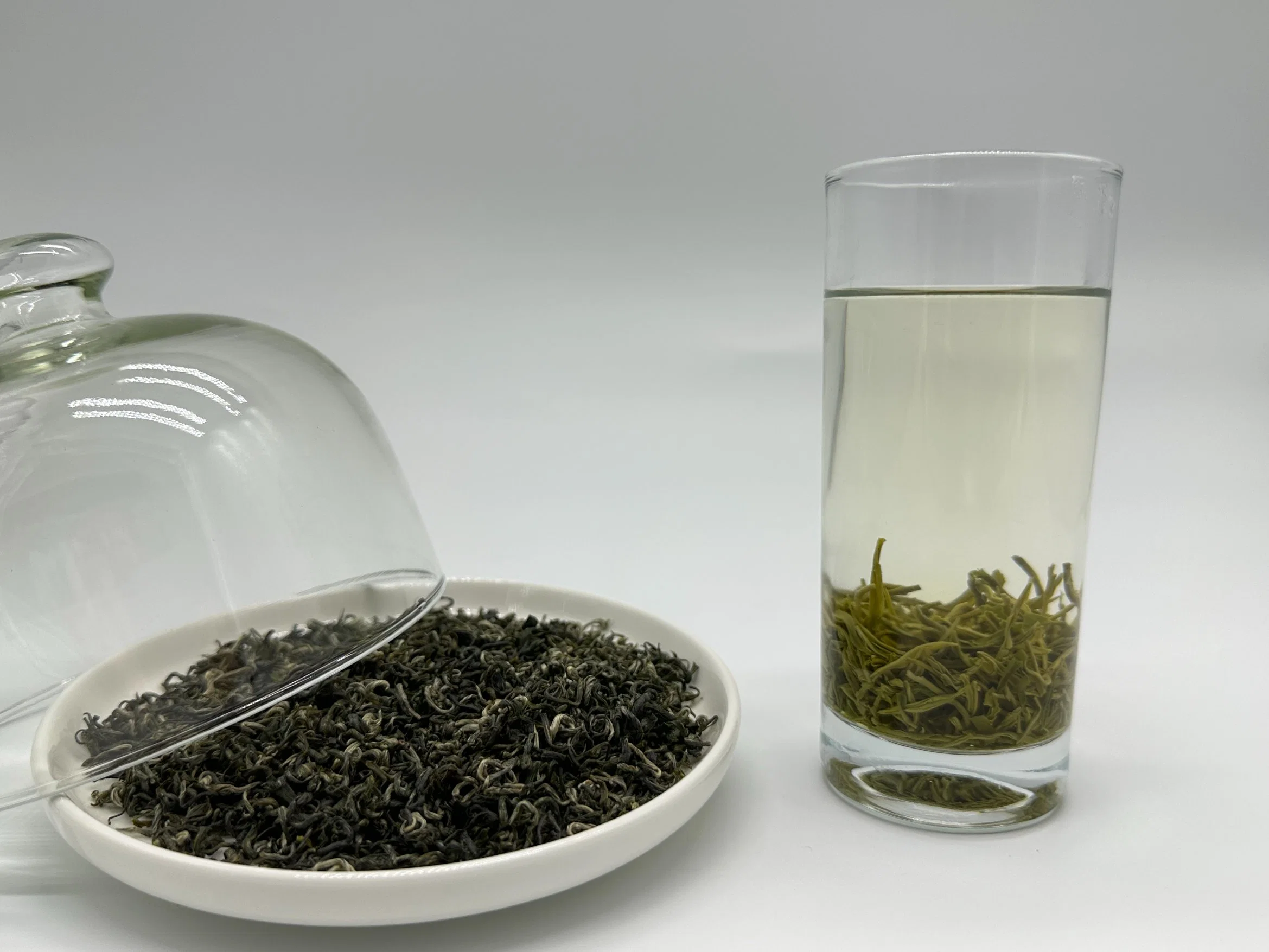 China Tea Factory Premium High Mountain Green Tea
