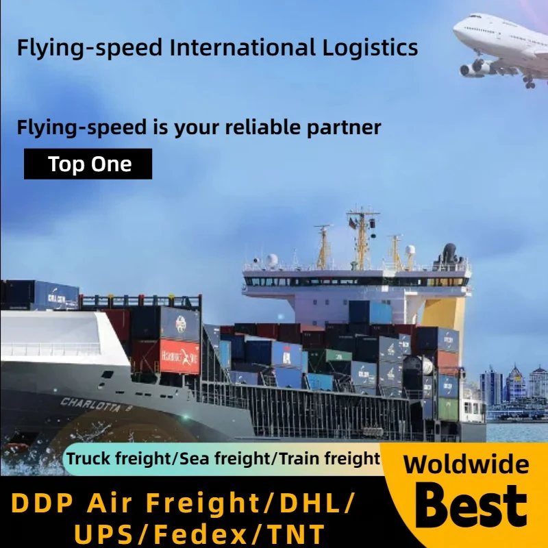 DDP Magnificent Sea Freight Shipping Agent Shipping Cargo to USA Freight Forwarder