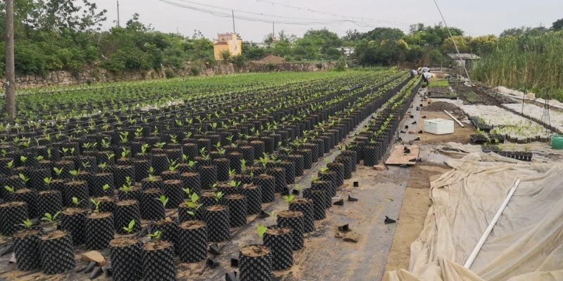 Fast Growth Container Air Root Pots