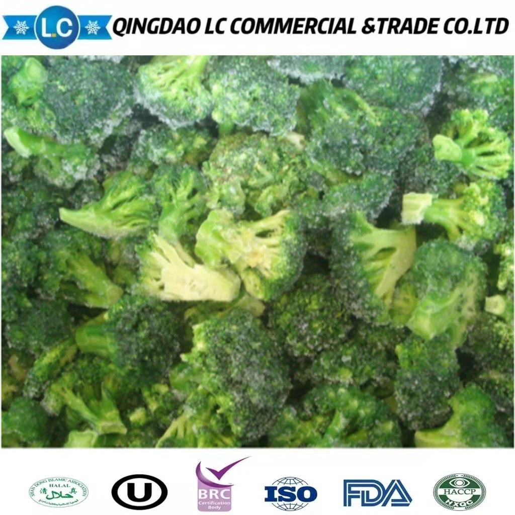 Nuevo cultivo de brócoli verde congelado IQF chino de alta calidad y bajo precio