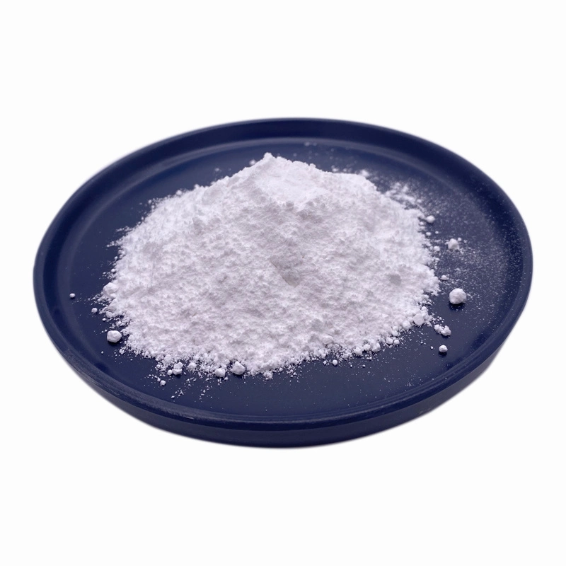 Titanium Dioxide CAS 13463-67-7 TiO2 Powder 98%