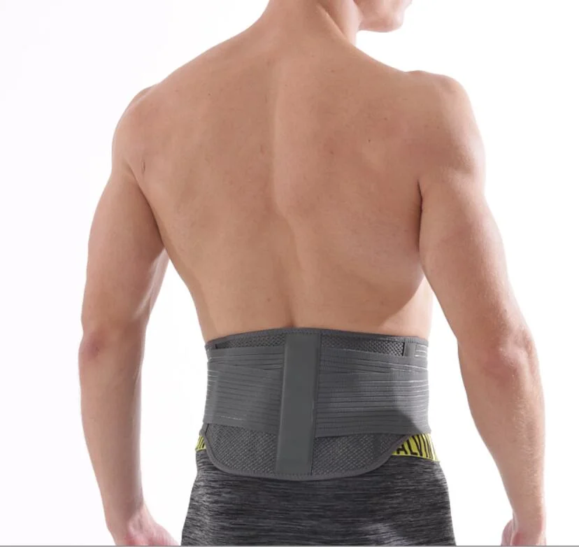 Magnetic Back Support Belt