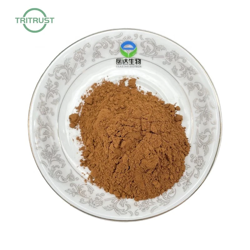 Wholesale Radix Angelicae Sinensis Extract Angelica Sinensis Root Extract 10: 1