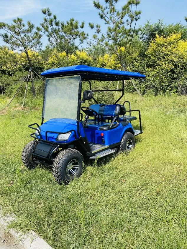 Promotion de la voiturette de golf électrique chaude 4 6 siège pour la vente touristique buggy de chasse