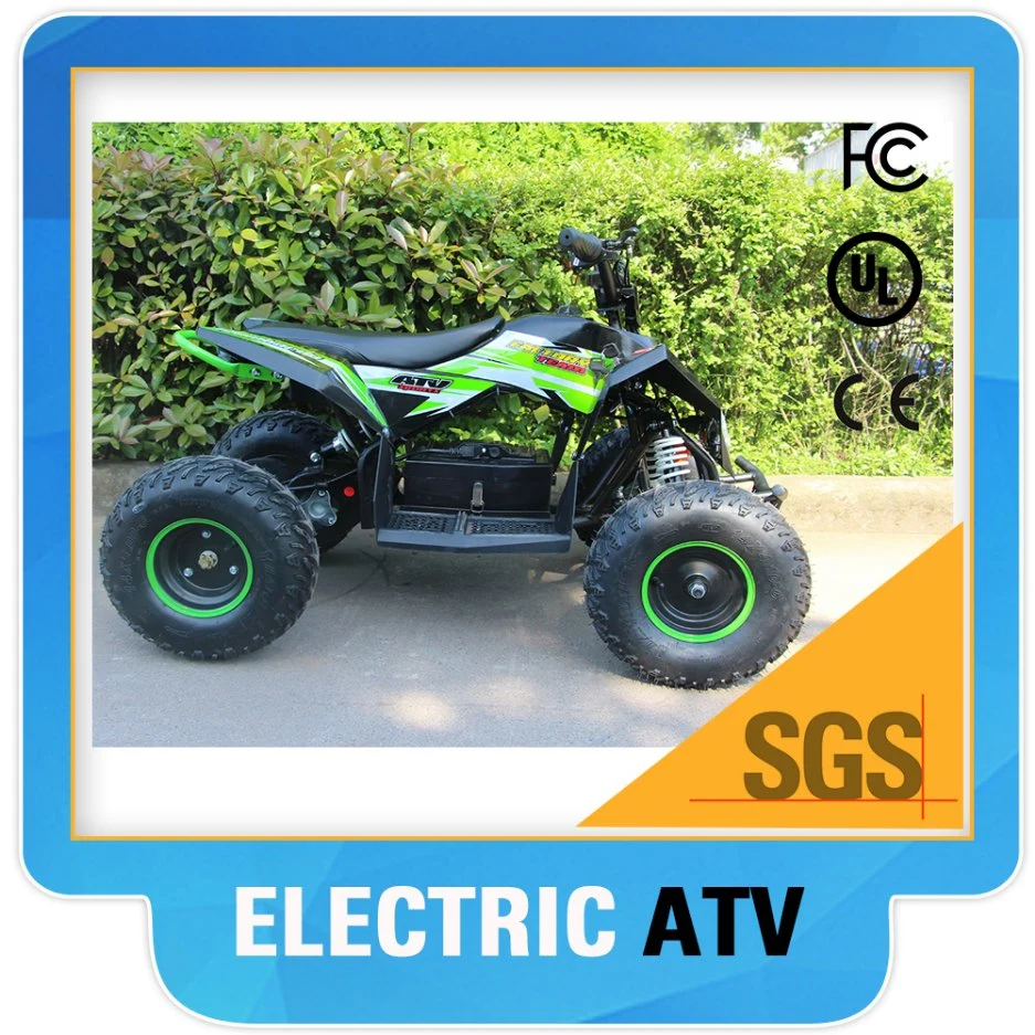 500 W Cheap ATV Electric with High Quality