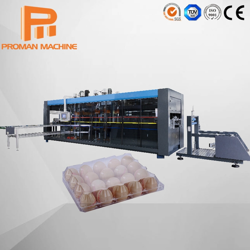 3 en 1 paquete de concha de plástico bandeja de huevos de la bandeja de frutas Caja de la plántula Electrónica de la placa de tapa de la bandeja de termoformado empaquetadora de vacío formando Maceta