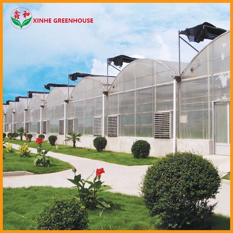 Hydroponics System Commercial Multi-Span Plastic Po Film Greenhouse for Strawberry