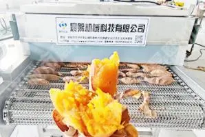 Full Stainless Steel Electric Roaster Machine with Washing/Blowing Food Machine