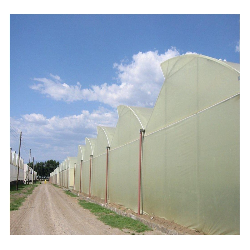 Vensovo Farm Clear Greenhouse Covering - 26X40 FT Anti-Fog Films Green House 6 Mil Plastic Polyethylene Film