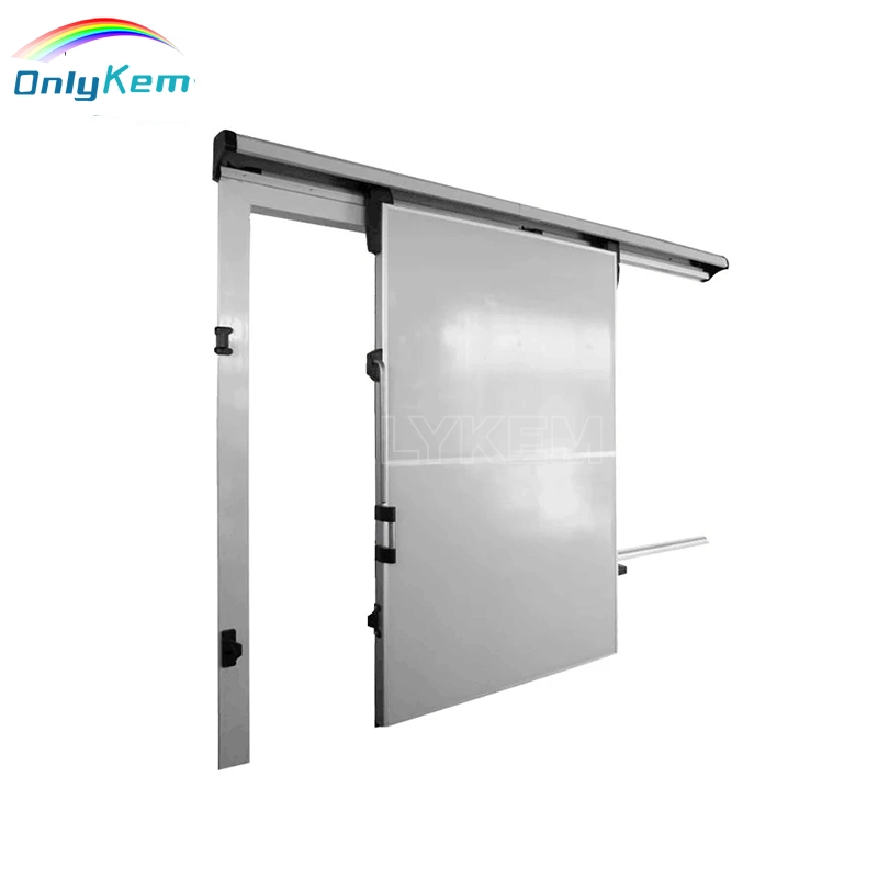 Cold Storage Room Swing Sliding Door Walk in Cooler/Freezer Door