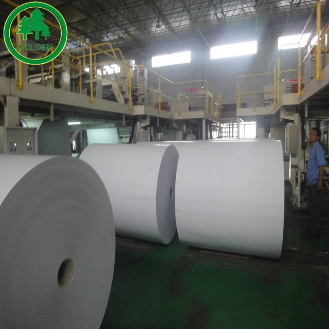 China Manufacturer Low/Medium/High Wet Strength Paper 70g 80g with Good Price