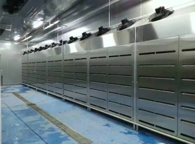 Meat Thawing Low Temperature High Humidity Air Machine