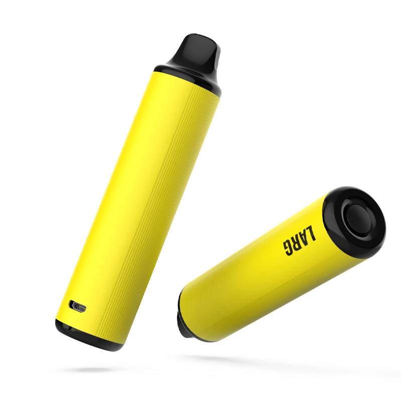 Disposable Vape Pen Battery 3000puffs Vaporizer E-Cigarette with Charging Port
