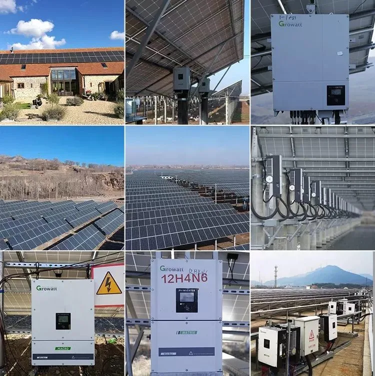 Growatt Solar on Grid Inverters 230V China 50kw 60kw 80kw Inverters Solar MPPT Solar Charge Controller DC Buck Converter