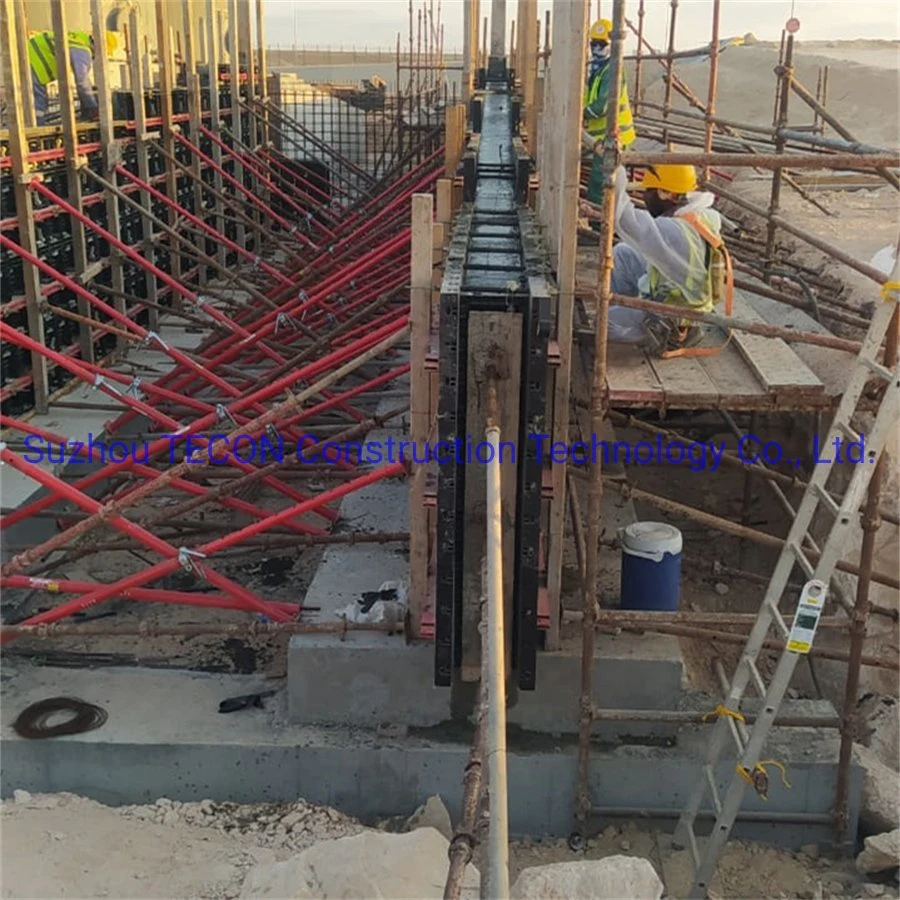 Easy Erection Construction Building Architecture Materials of Tecon Tp60 Plastic Formwork for Concrete