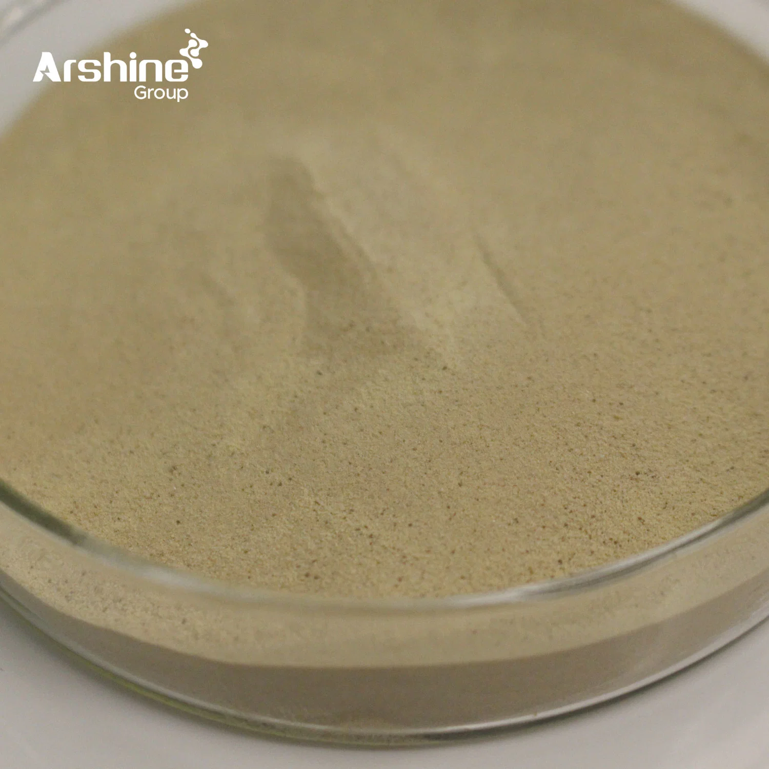 High quality/High cost performance  Raw Materials Feed Additive Probiotic Bacillus Subtilis for China Supplier