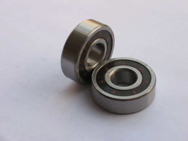 Auto Wheel Hub Bearing One Way Clutch Bearing Csk17PP for Machine Spare Part