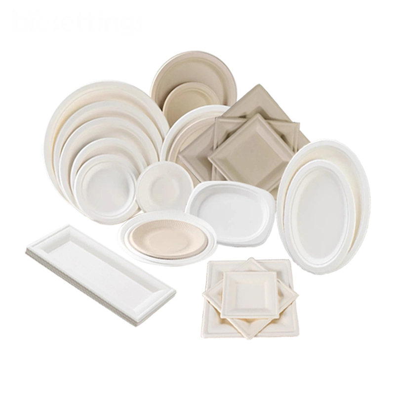 Zuckerrohr Bagasse Papier Zellstoff Form Biologisch Abbaubare Platten Bulk Einweg-Platten