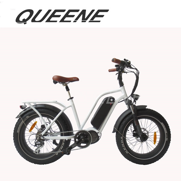 Queene vía bicicleta eléctrica de la unidad media de adultos 48V 16Ah batería 750W Bicicleta eléctrica Bike Dirt Bike eléctrica Eléctrica