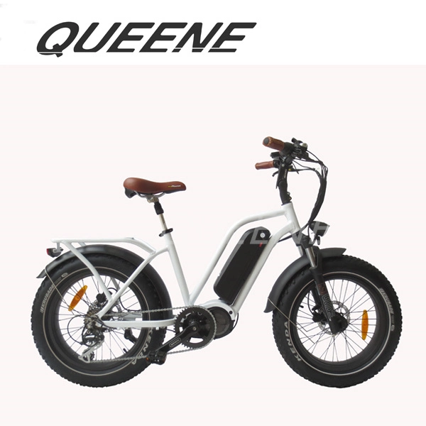 Queene Track Elektro-Fahrrad Erwachsene MID Drive 48V 16Ah Batterie 750W Elektro Fahrrad Fahrrad Elektro Elektro Elektro Schmutz Fahrrad