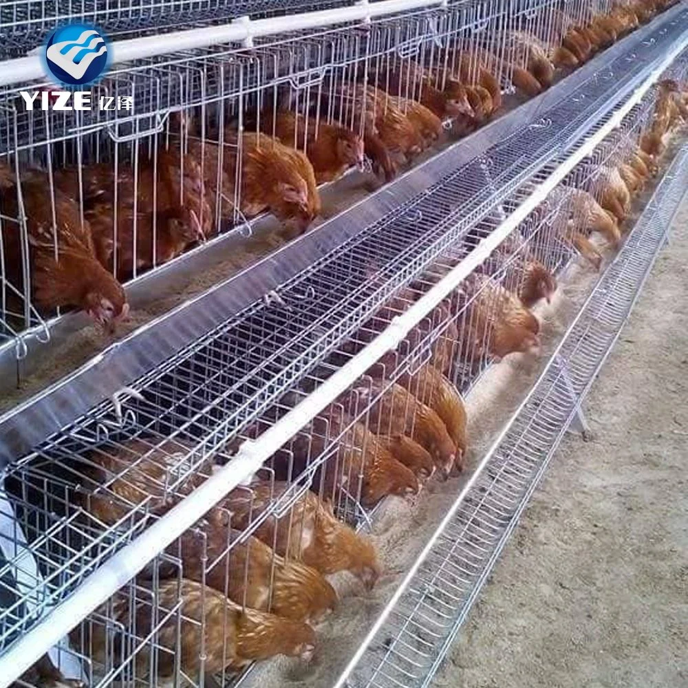 Fábrica da China Fabricação Venda a quente de correias de remoção automática de estrume para Caixa da bateria de frango