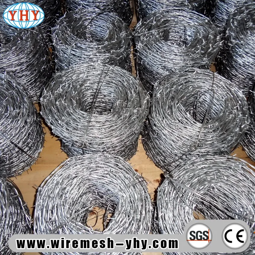 Low Price Hot Dipped Galvanized Iron Barbed Wire