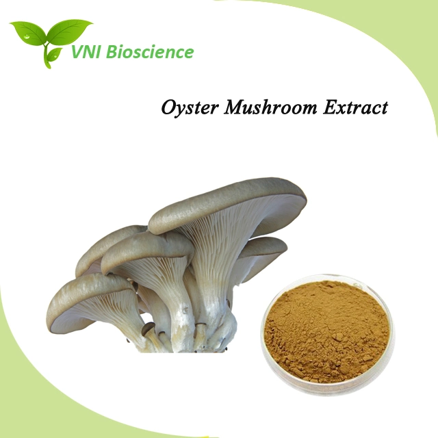 Kosher and Halal Certified 30% Polysaccharides Oyster Mushroom Extract