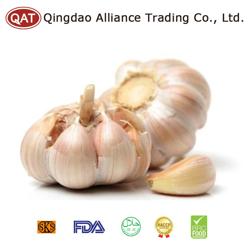Fresh Frozen IQF Peeled Garlic with FDA Certificate