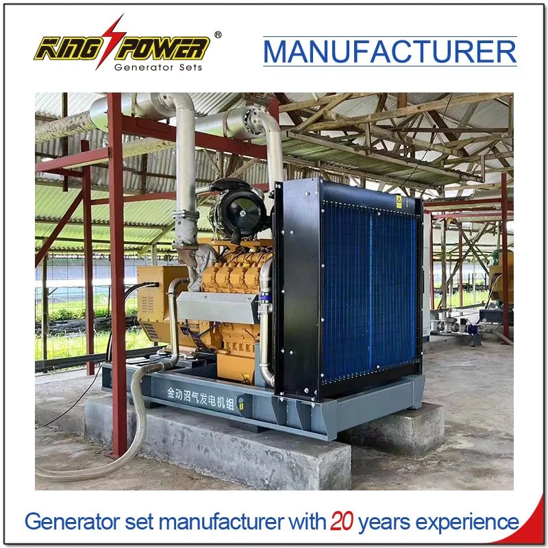 Continuous Power 350kw Container Type Natural Gas Biogas LNG Generator