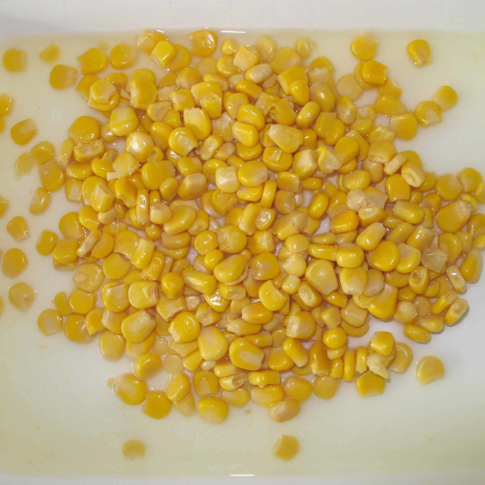 2021 New Crop Super Sweet Corn Canned Kernels Corn with High quality/High cost performance 